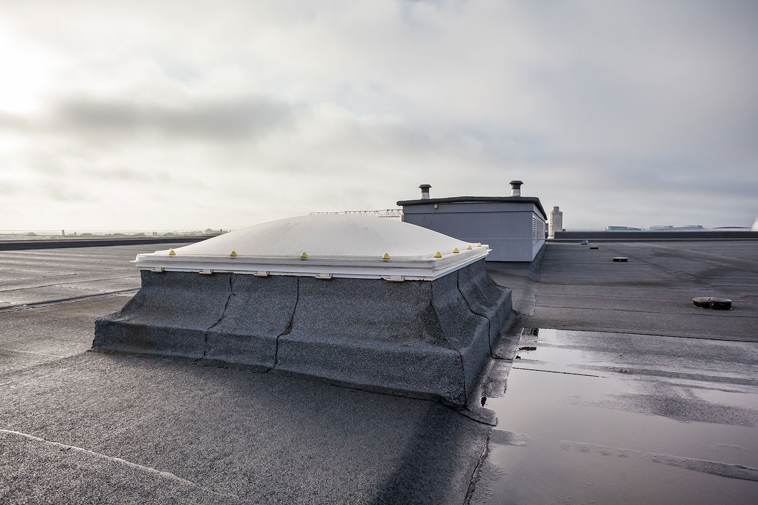 Roof Inspection